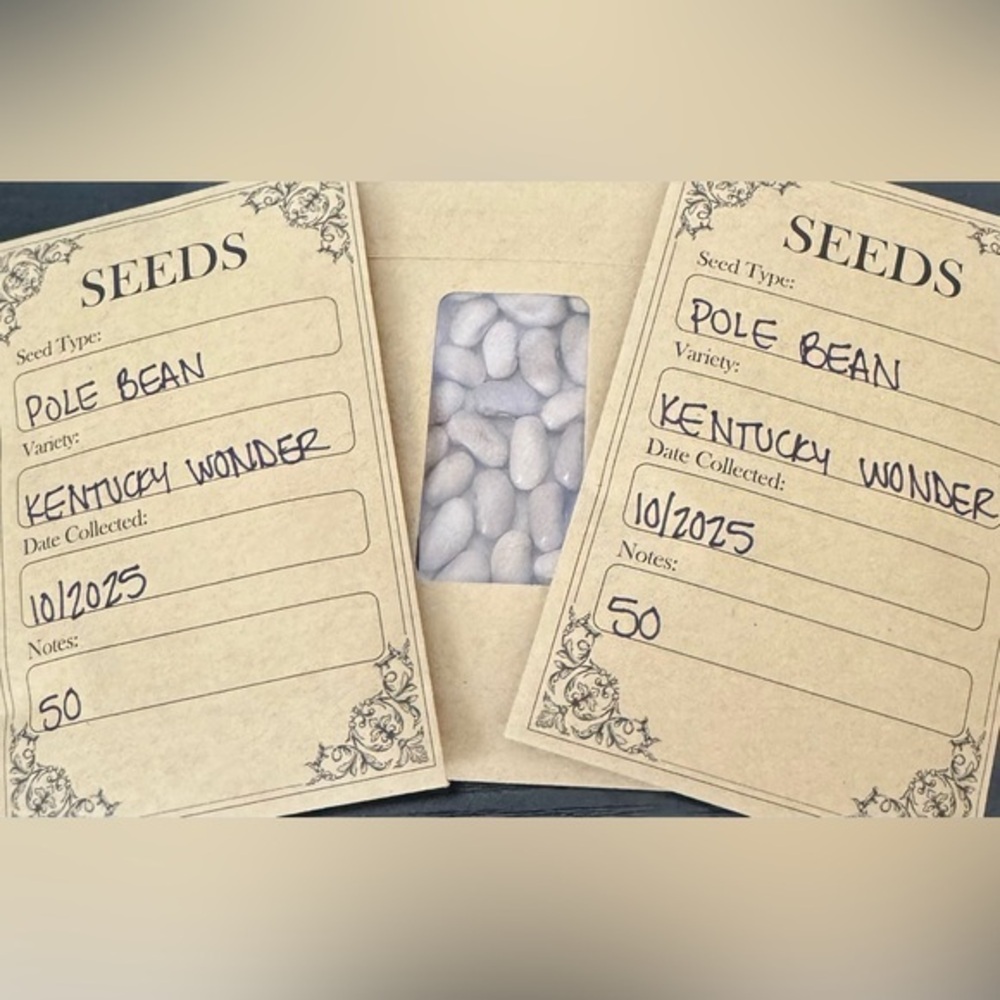 🌷 Heirloom Kentucky Wonder Pole Bean Seeds - 50 count